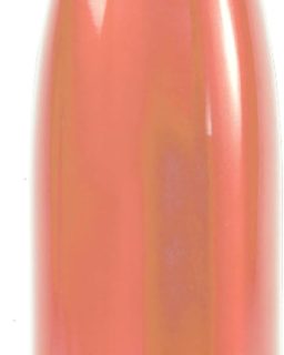 , Stainless Steel Water Bottle 16oz/473ml, Sports Water Bottles, Insulated Water Bottle, Coral