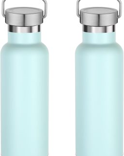 17oz Stainless Steel Water Bottle,Leak-Proof Sweat-Proof Travel Bottle,Double Wall Vacuum,Portable Insulated Cup,Reuseble Metal Bottle for School Sports Hikers Kids,Fog(2Packs)