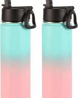 Insulated Water Bottles with Straw Bulk 2 Pack, 22 oz Stainless Steel Sport Bottle with Handle Lid,Metal Travel Water Cups with Wide Mouth,Reusable Water Flask for School(Green Pink,2 Set)