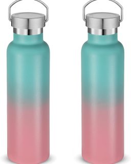 20 oz Insulated Water Bottles Bulk 2 Pack,Stainless Steel Double Wall Sport Bottle with Lid of Handle,Metal Reusable es Flask for School,Cyclists,Hikers,Gift (Green-Pink,Set of 2)