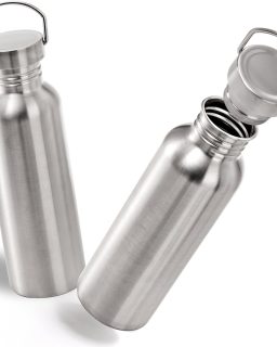 2 Pack Stainless Steel Sports Water Bottles, 26OZ Single Walled 18/8 Stainless Steel Water Bottle with Handle, Uninsulate Metal Water Bottle for Cyclists, Runners, Hikers, Beach Goers, Picnics