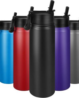 24 oz Insulated Water Bottle with Straw, Stainless Steel Double Wall Vacuum  with Straw Lid Leak Proof, Wide Mouth Lid, Keep Cold and Hot